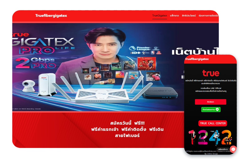 www.truefibergigatex.com